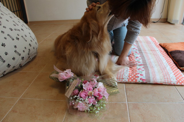 ファイル 4922-5.jpg