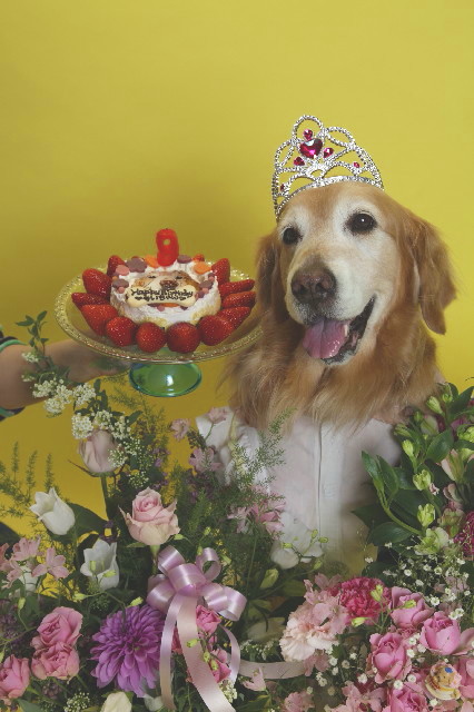 ファイル 4923-1.jpg