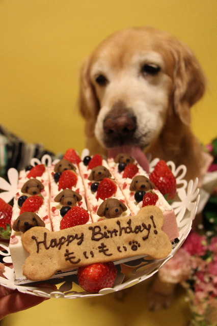 ファイル 4923-3.jpg