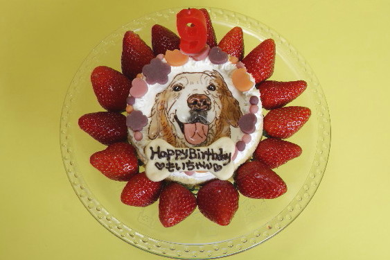 ファイル 4925-1.jpg