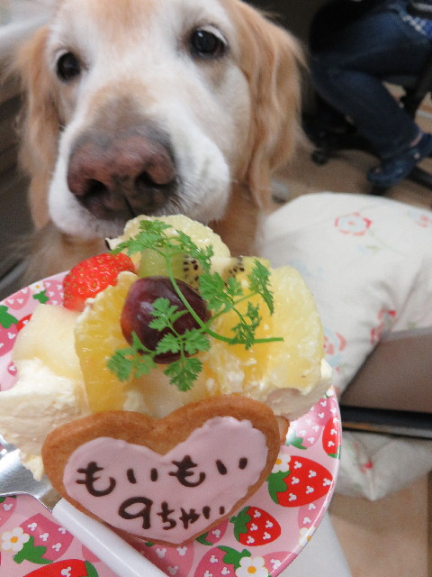 ファイル 4925-3.jpg