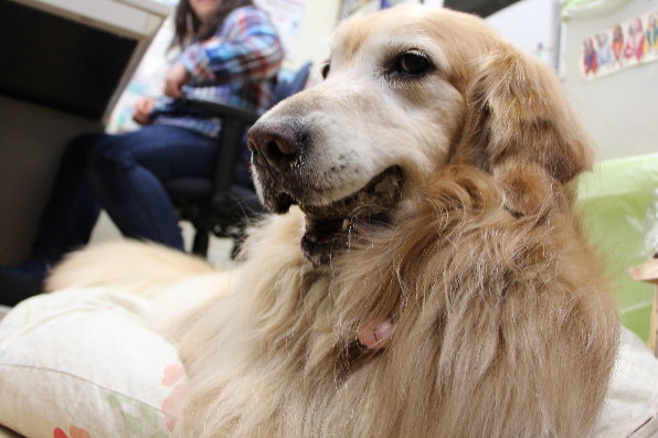 ファイル 4925-4.jpg