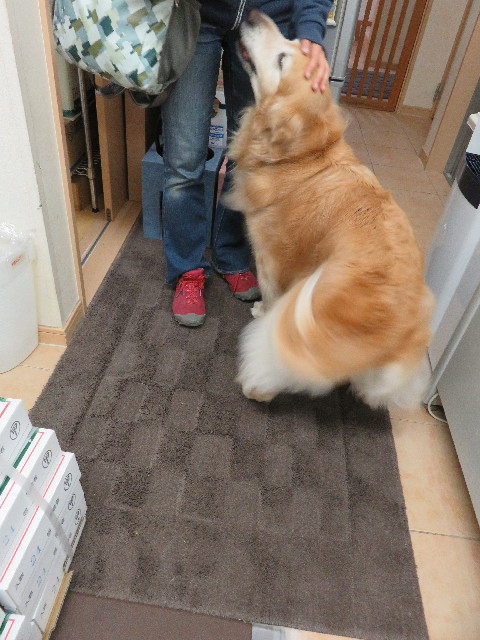 ファイル 4926-1.jpg