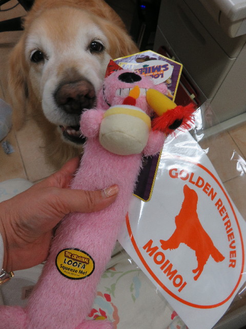 ファイル 4926-3.jpg