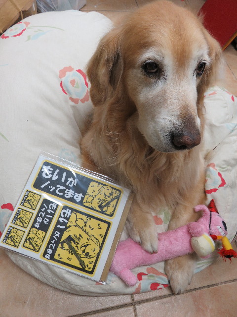 ファイル 4926-4.jpg