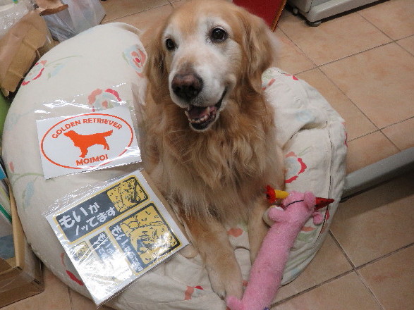 ファイル 4926-5.jpg