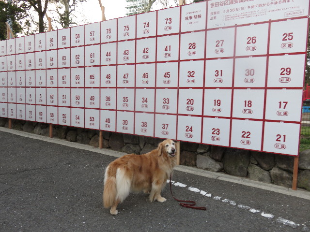 ファイル 4927-1.jpg