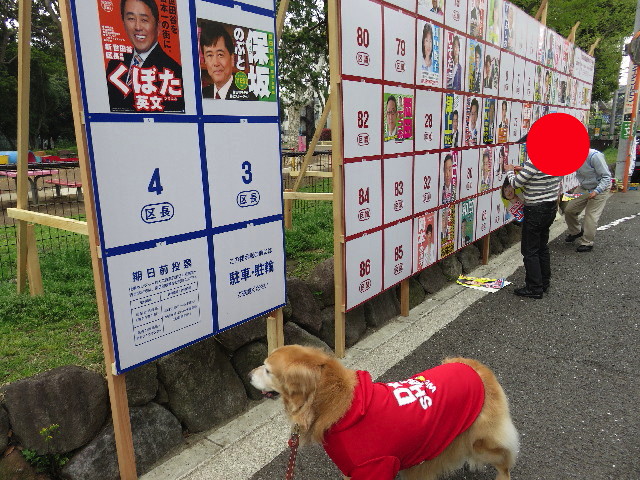 ファイル 4927-2.jpg