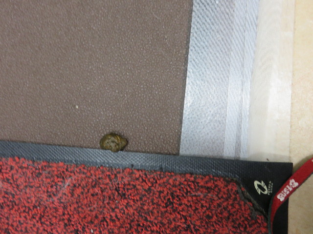 ファイル 4927-5.jpg