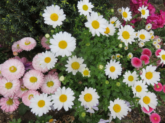 ファイル 4928-2.jpg