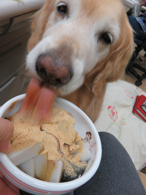 ファイル 4929-2.jpg