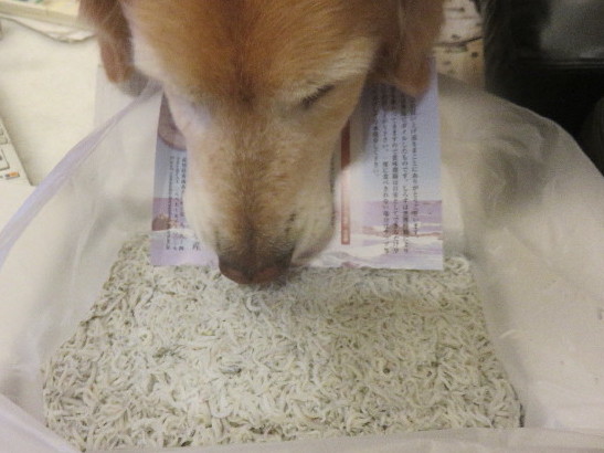 ファイル 4929-3.jpg