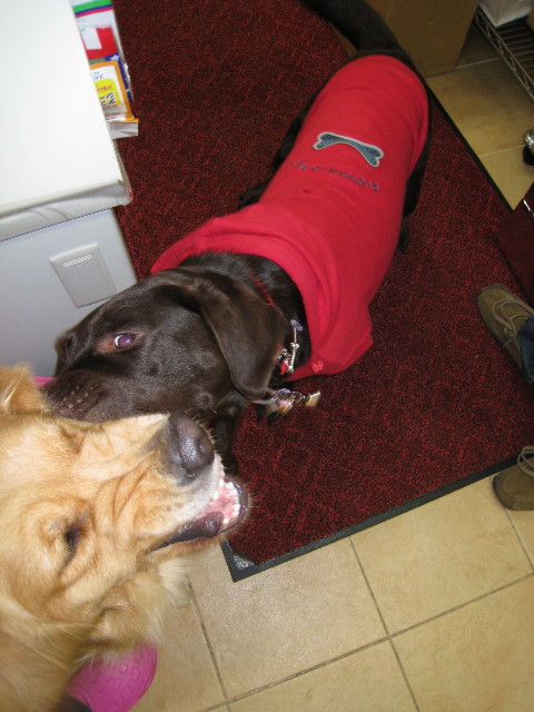 ファイル 493-1.jpg