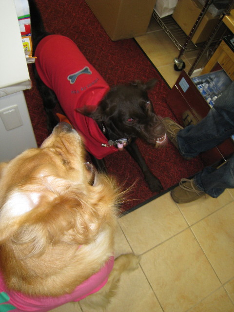 ファイル 493-2.jpg