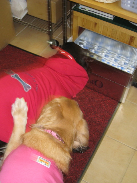 ファイル 493-5.jpg