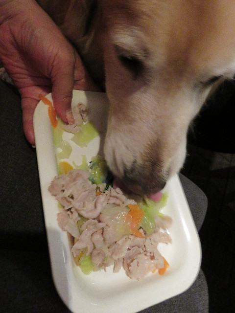 ファイル 4930-2.jpg