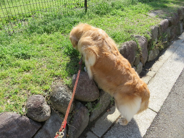 ファイル 4934-3.jpg