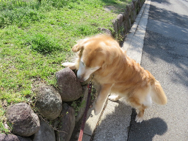 ファイル 4934-4.jpg