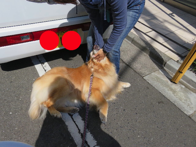 ファイル 4934-5.jpg