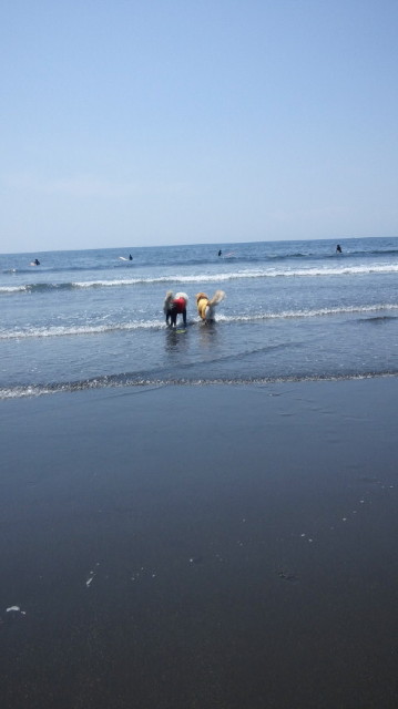 ファイル 4935-3.jpg