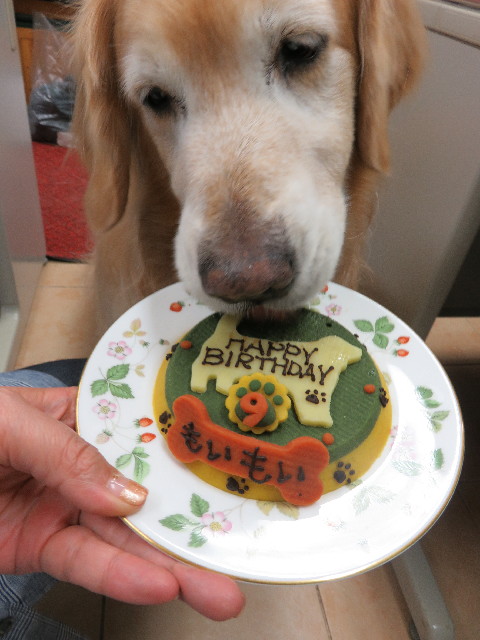 ファイル 4936-1.jpg