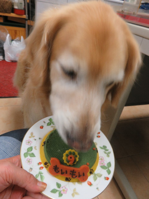 ファイル 4936-2.jpg