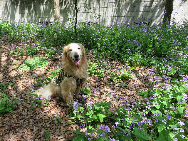 ファイル 4937-4.jpg