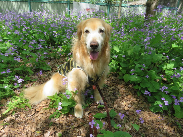 ファイル 4937-5.jpg