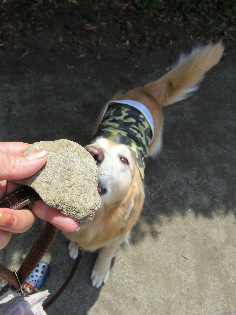 ファイル 4938-3.jpg