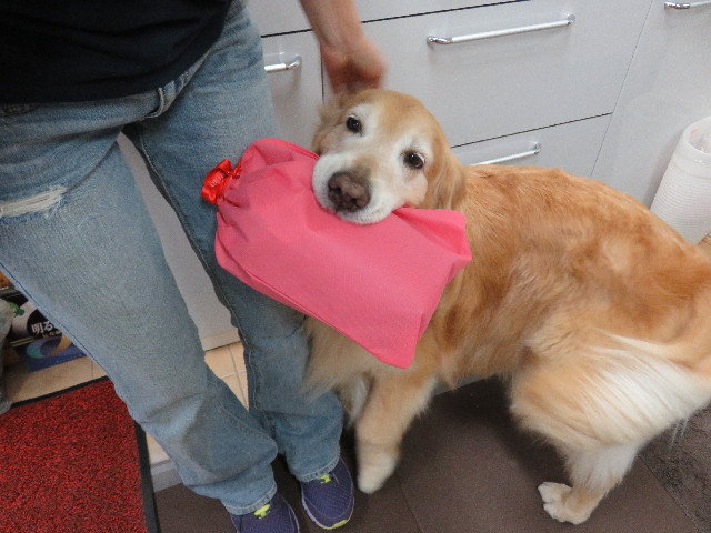 ファイル 4939-1.jpg