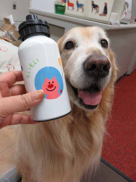 ファイル 4939-2.jpg