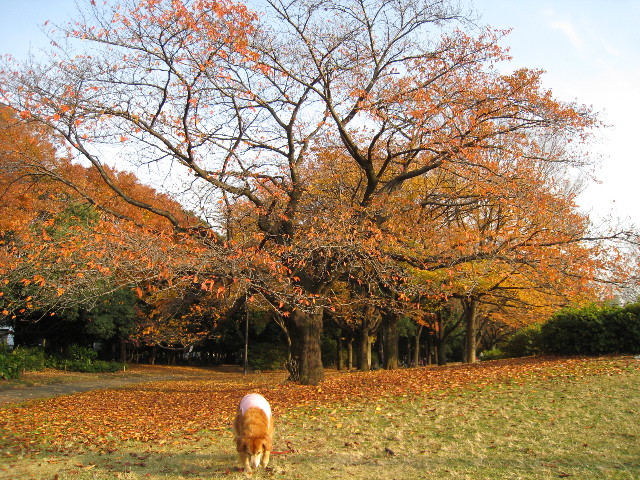 ファイル 494-4.jpg