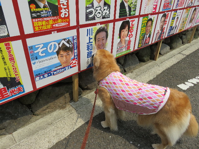 ファイル 4940-3.jpg