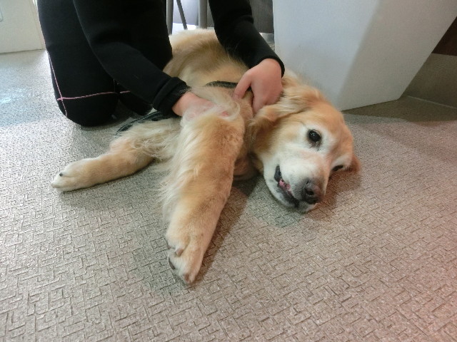 ファイル 4942-2.jpg