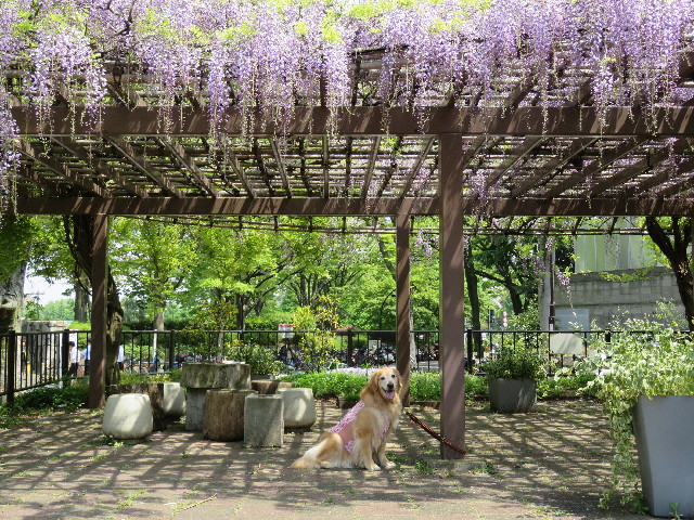 ファイル 4943-3.jpg