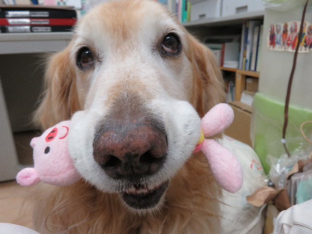 ファイル 4944-3.jpg