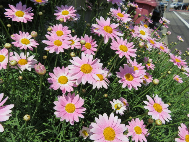 ファイル 4944-4.jpg