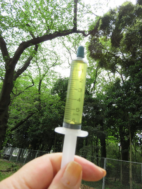 ファイル 4945-2.jpg