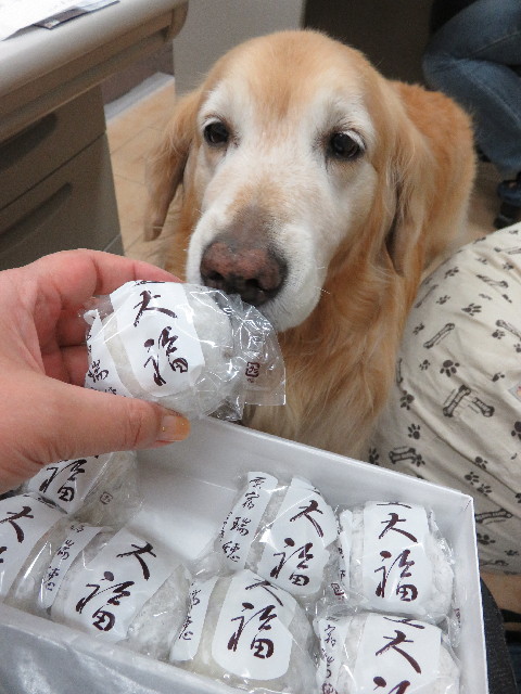 ファイル 4945-4.jpg