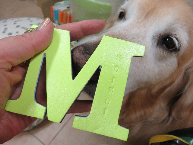 ファイル 4946-5.jpg