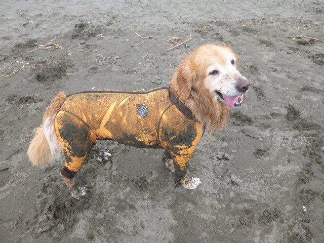 ファイル 4947-3.jpg