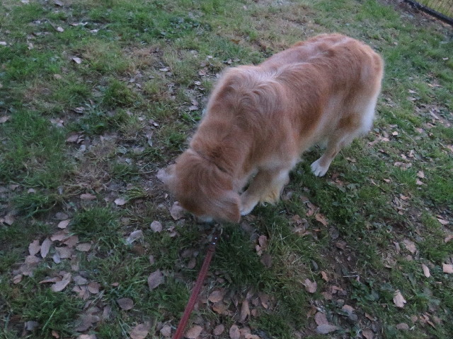 ファイル 4948-2.jpg