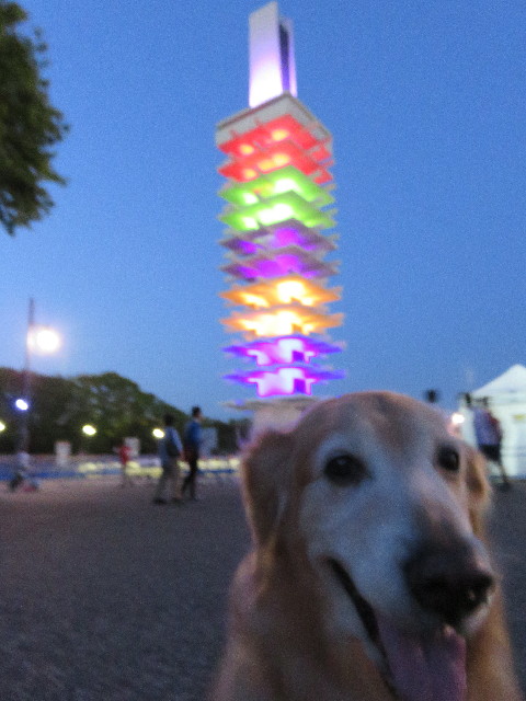 ファイル 4948-4.jpg