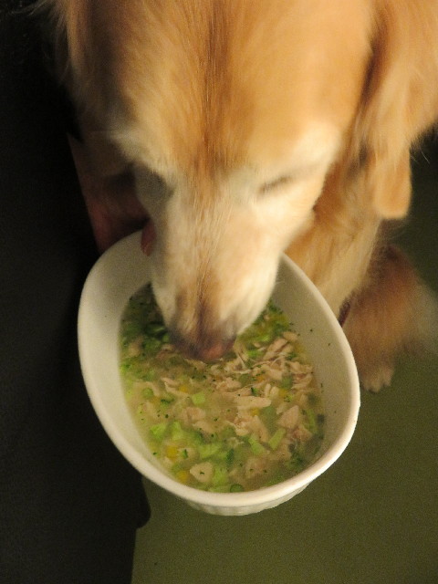 ファイル 4948-5.jpg