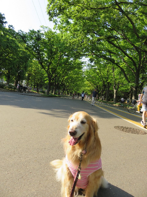 ファイル 4949-1.jpg