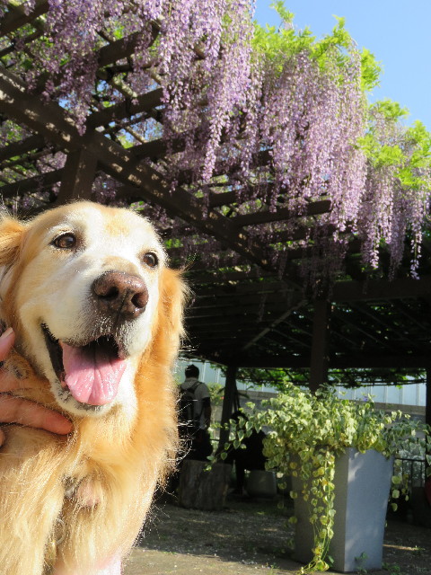 ファイル 4949-3.jpg