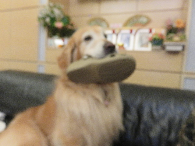 ファイル 4951-2.jpg