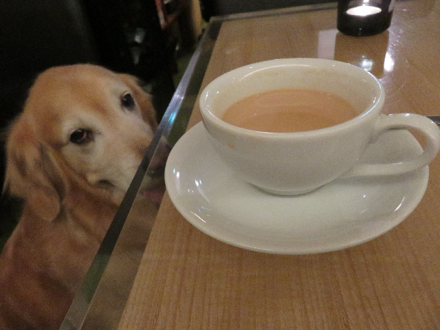 ファイル 4951-3.jpg