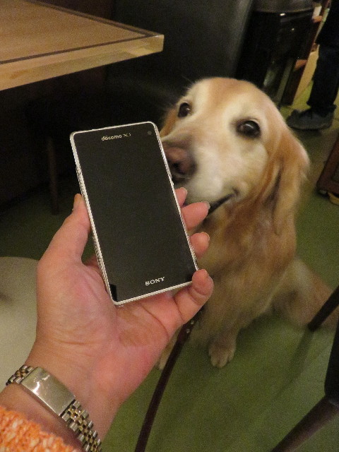 ファイル 4951-4.jpg