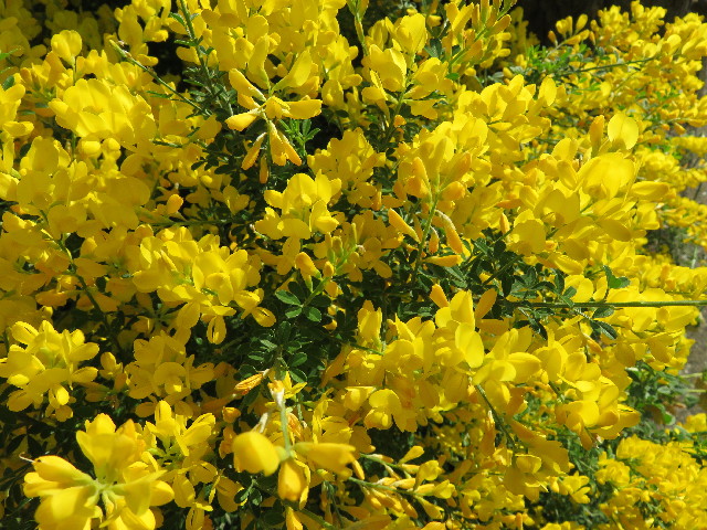 ファイル 4952-5.jpg